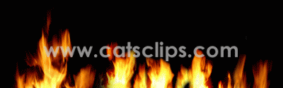 flames animated gif border