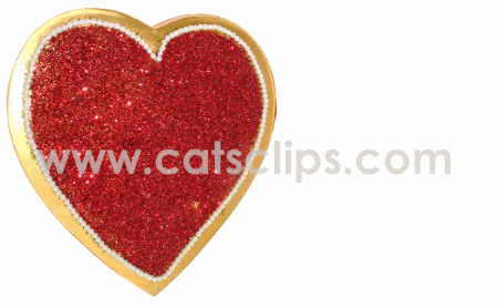 heart box animated frame