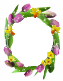 daffodil tlips glitter border