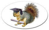 squirrel graduate sticker