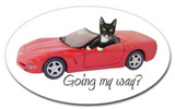 cat in red car sticker