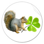 Squirrel with Shamrock sticker from Cat's Clips.