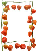 chinese lantern border