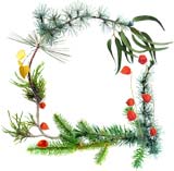  wreath border