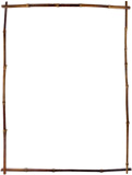 bamboo border