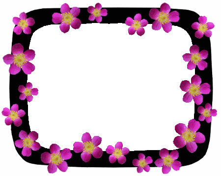 pink roses on black frame