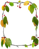 Fall Crab Apples Border