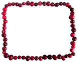 cranberry border