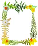 fern daffodil border