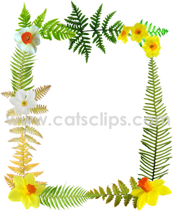 fern daffodil border