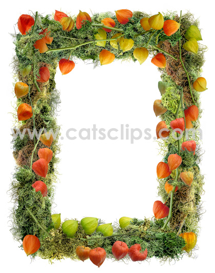 Lichen and Japanese lanterns border from www.catsclips.com.