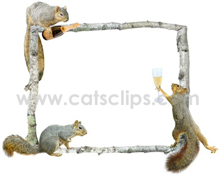 party squirrels border