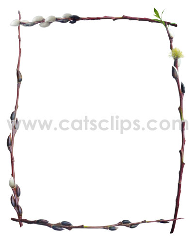 Pussy Willow border from www.catsclips.com