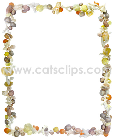 Shells and Coral Border