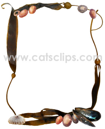 shells with kelp border