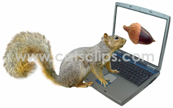 squirrel at computer animated GIF