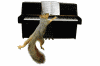 squirrel piano