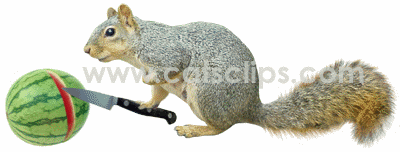 squirrel cutting watermellon animated GIF