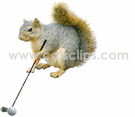 squirrel golfing animated GIF