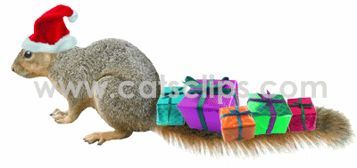 squirrel with presents on tail animated GIF