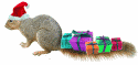 squirrel with presents on tail