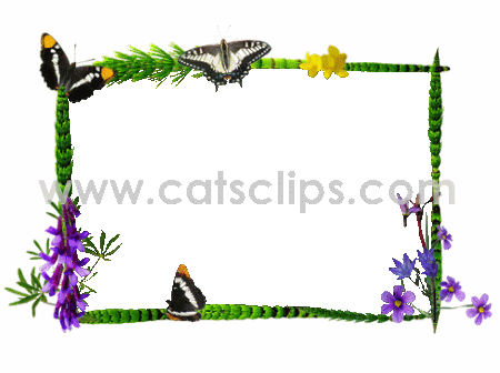 horsetail butterfly anumated GIF border