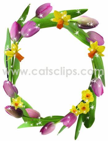 tulip daffodil glitter border