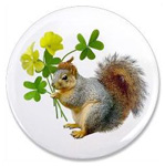 Squirrel with Sourgrass magnet from Cat's Clips.